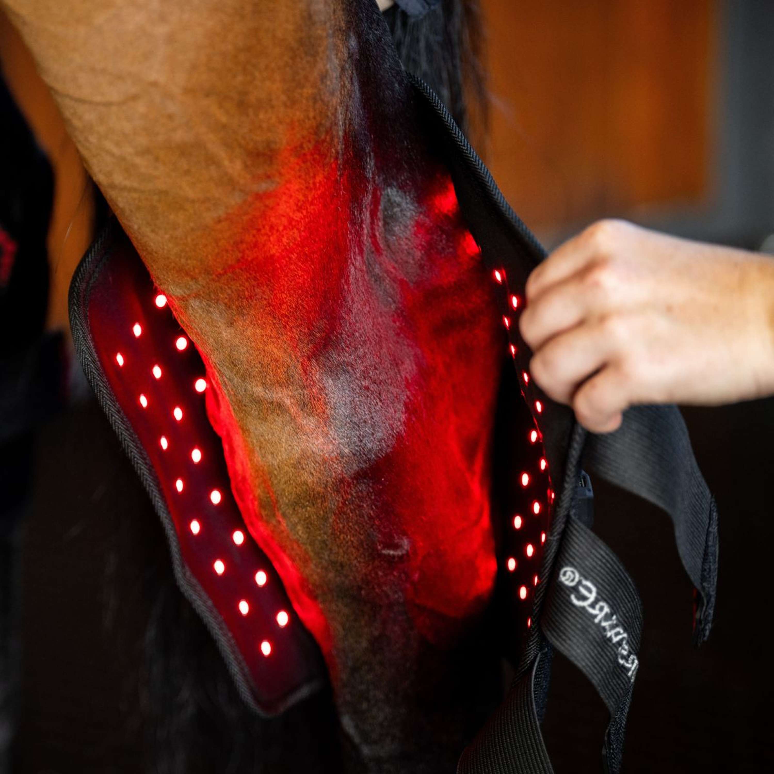 Horseware Hock Boots LED Red Light Therapy Pair Noir/Noir