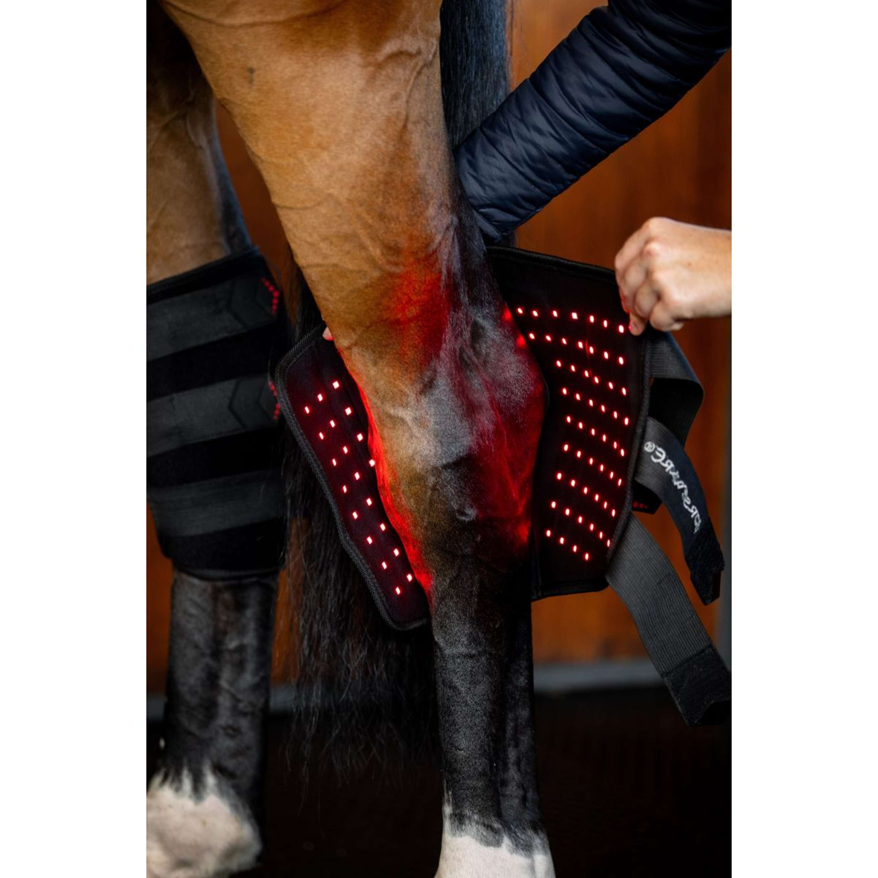 Horseware Hock Boots LED Red Light Therapy Pair Noir/Noir