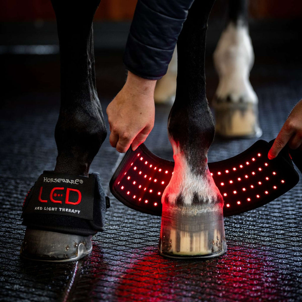 Horseware Mini Wraps LED Red Light Therapy Pair Noir/Noir