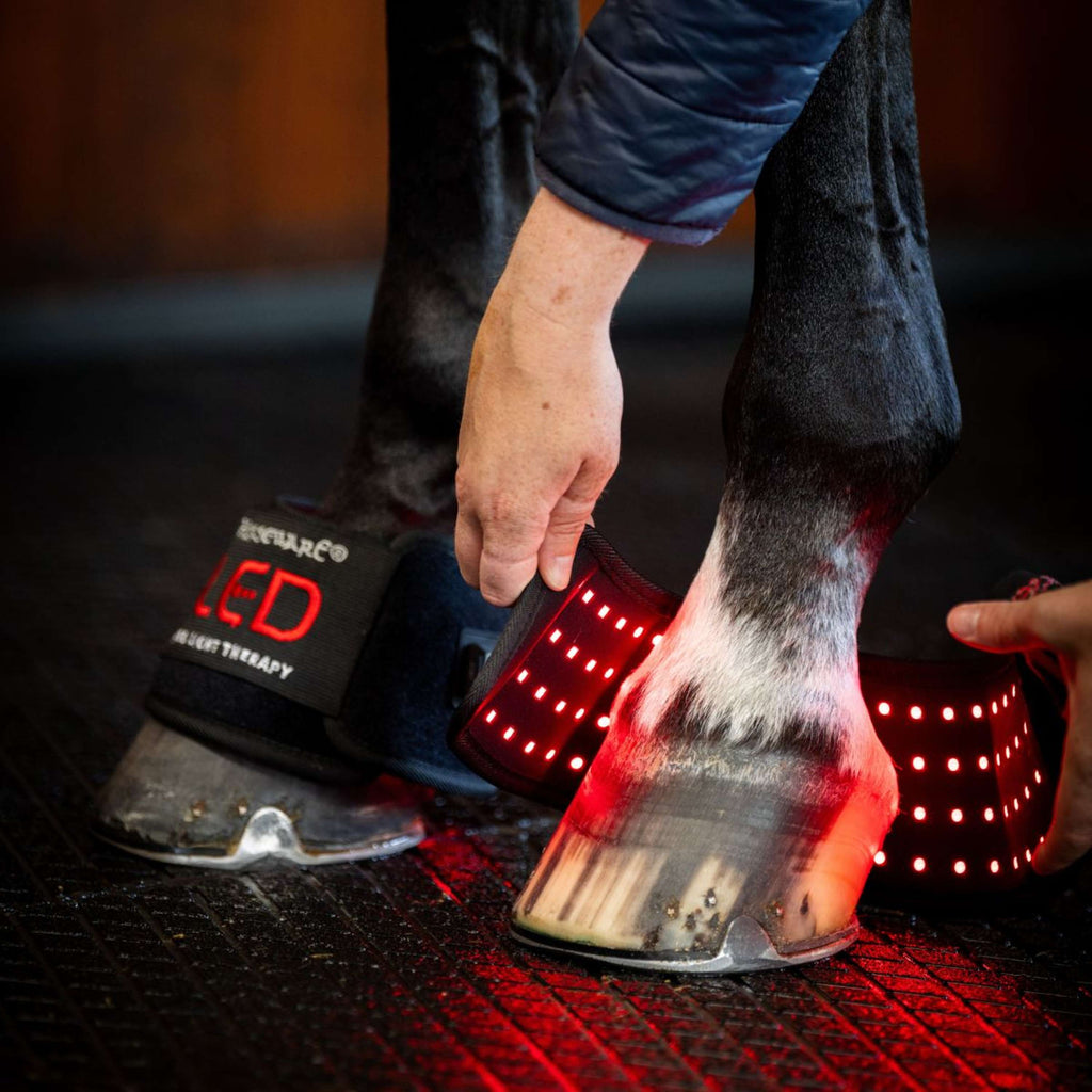 Horseware Mini Wraps LED Red Light Therapy Pair Noir/Noir