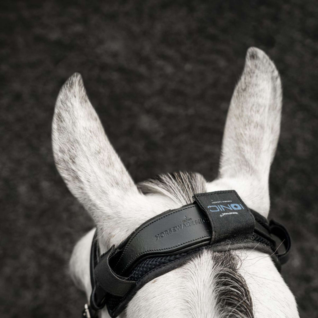 Horseware Protection de Têtière Ionic Noir