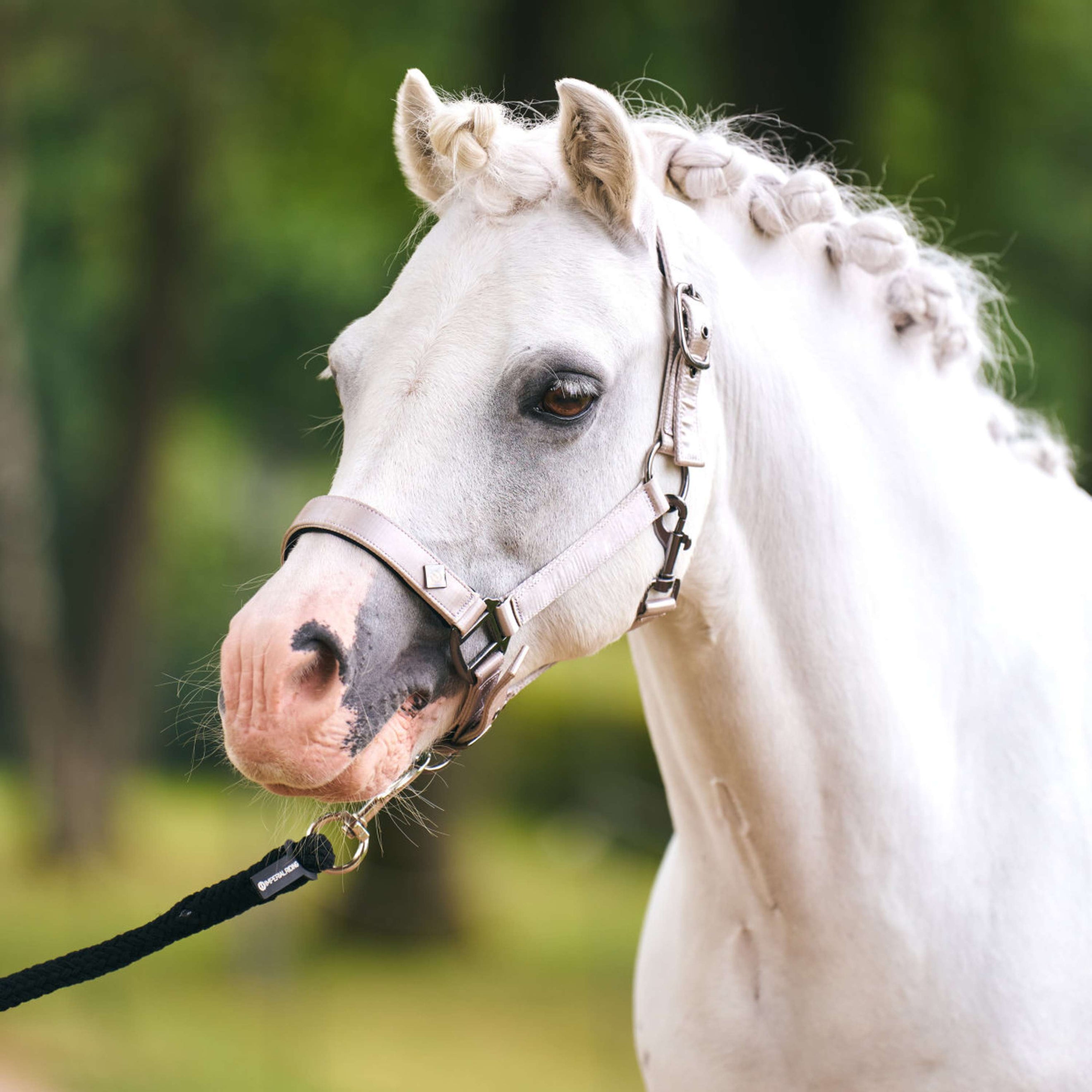 Imperial Riding Licol IRHRebel Gris Imperial Riding Licol IRHRebel Gris