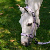 Imperial Riding Licol IRHRebel Wisteria