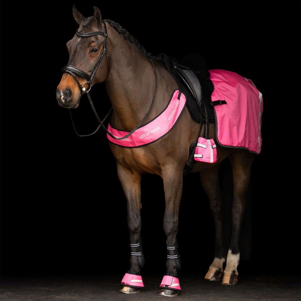 Imperial Riding Cloches d'Obstacles IRHReflective Rose