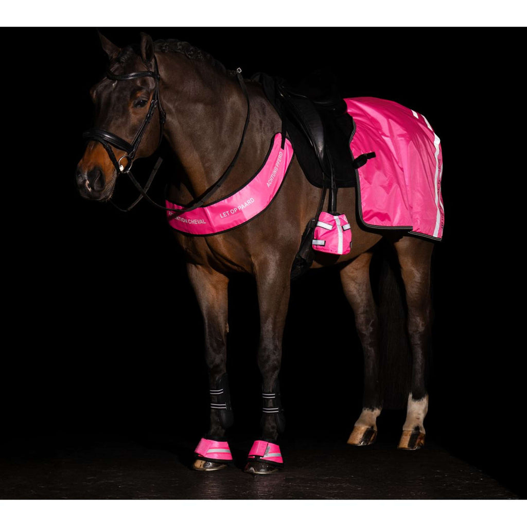 Imperial Riding Cloches d'Obstacles IRHReflective Rose