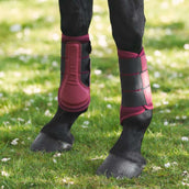 Imperial Riding Protèges-Tendons IRHCloud Dancer Fig