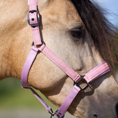 Imperial Riding Licol IRHSparkle Ballerina