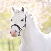 Imperial Riding Licol IRHRebel Flower Print