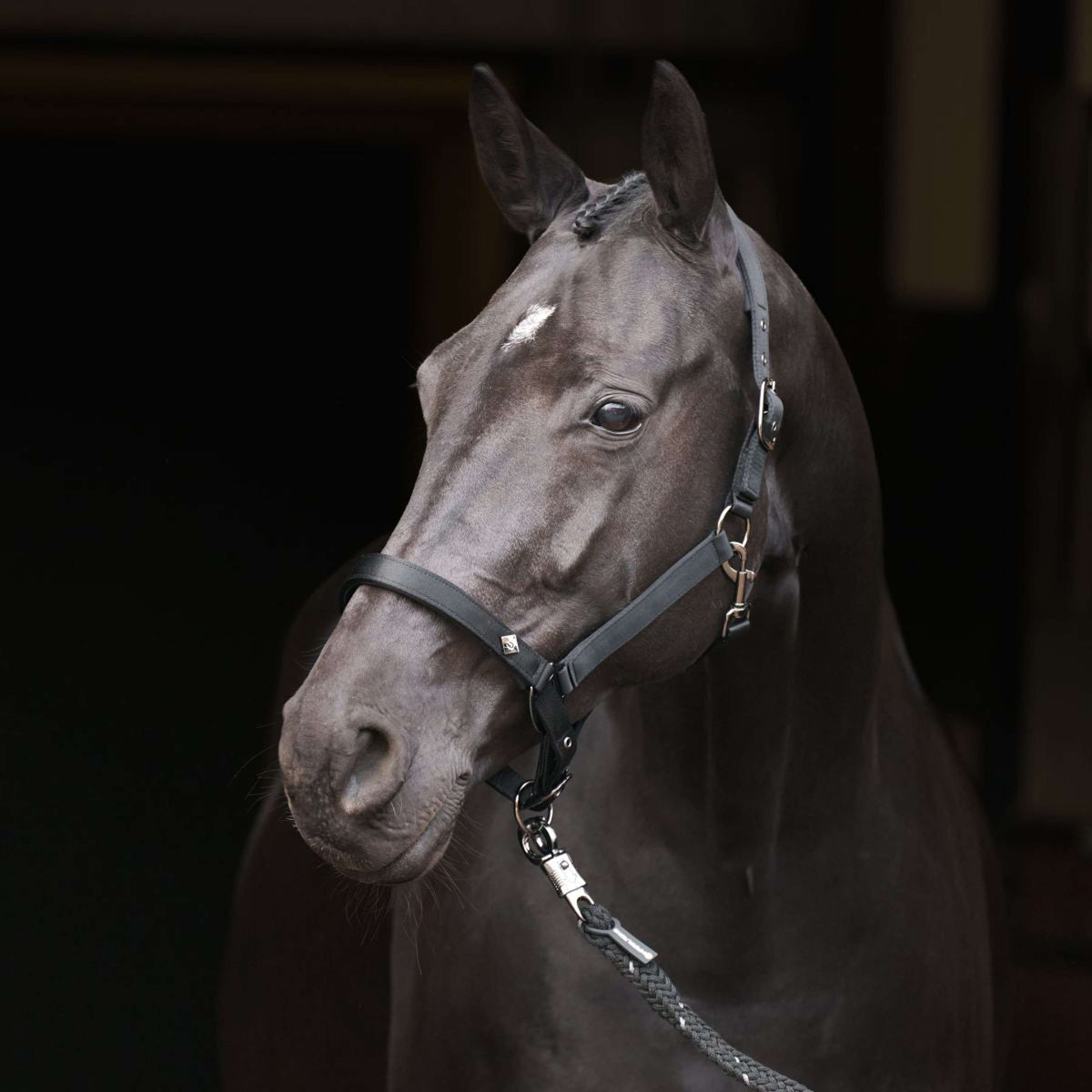 Imperial Riding Licol IRHRebel Noir