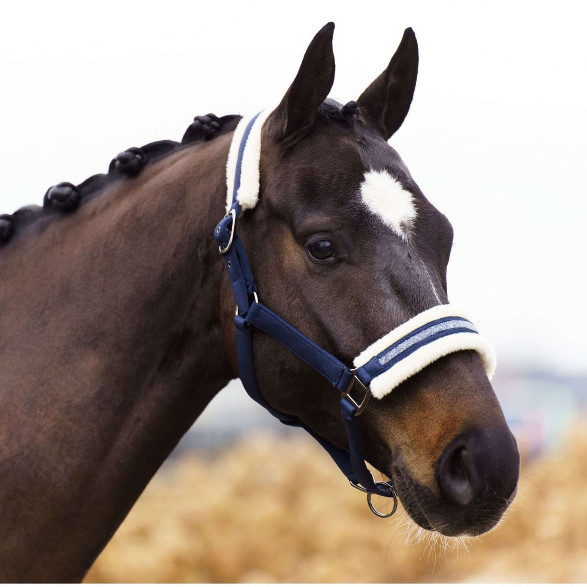 Imperial Riding Licol IRHJewel Gris/Sand