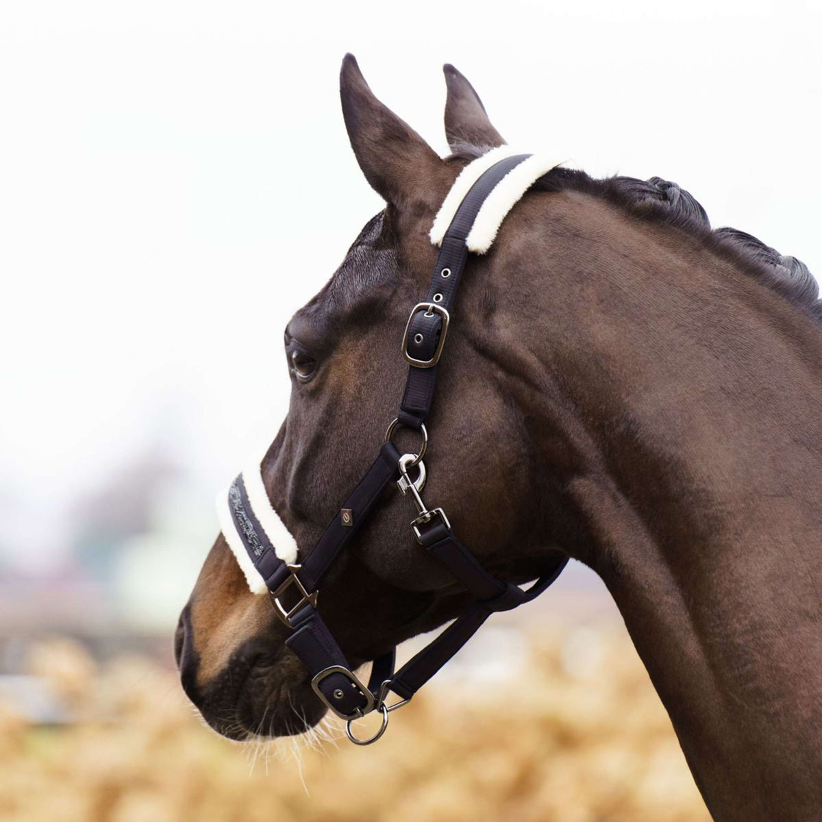 Imperial Riding Licol IRHJewel Noir