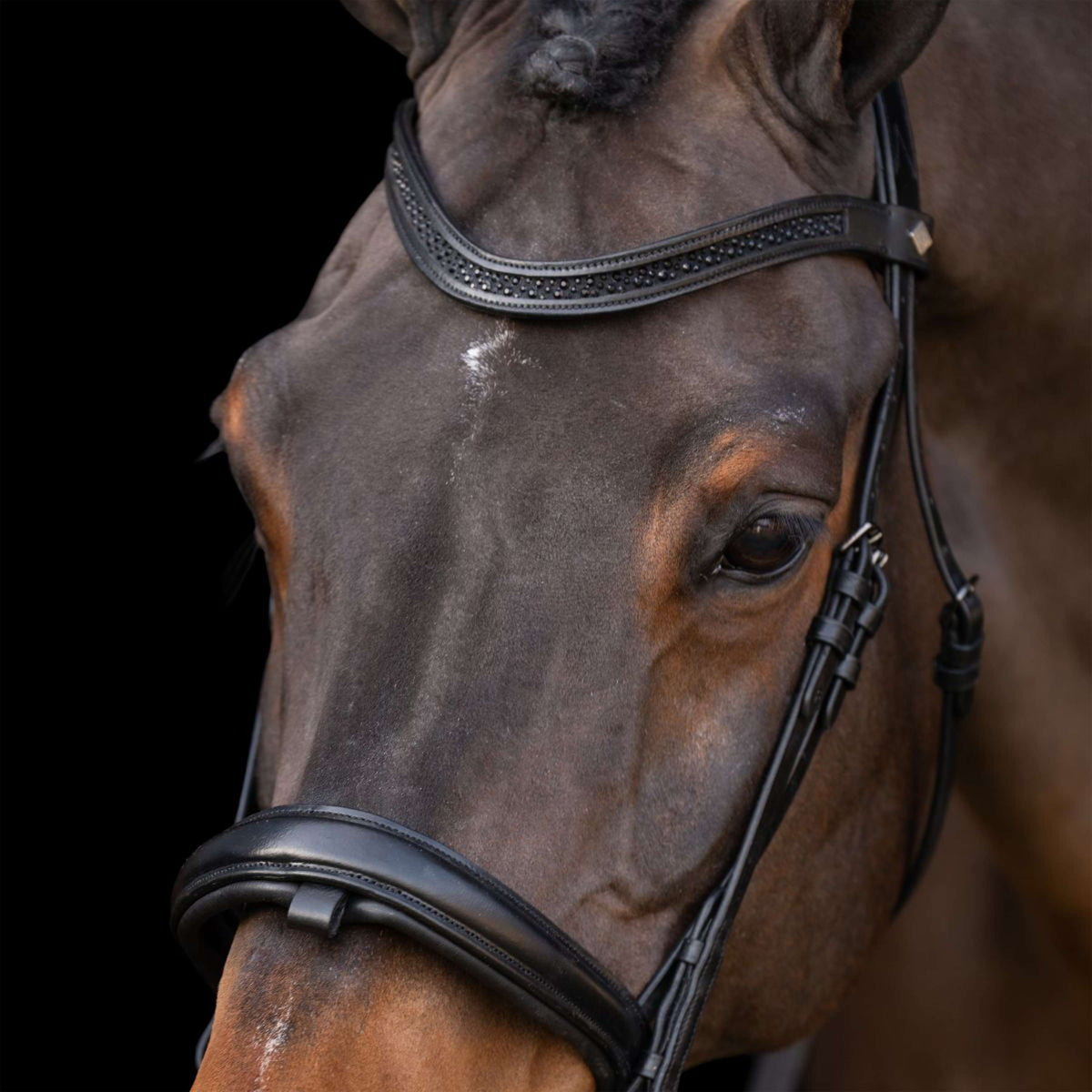 Imperial Riding Bride IRH Noir/Noir