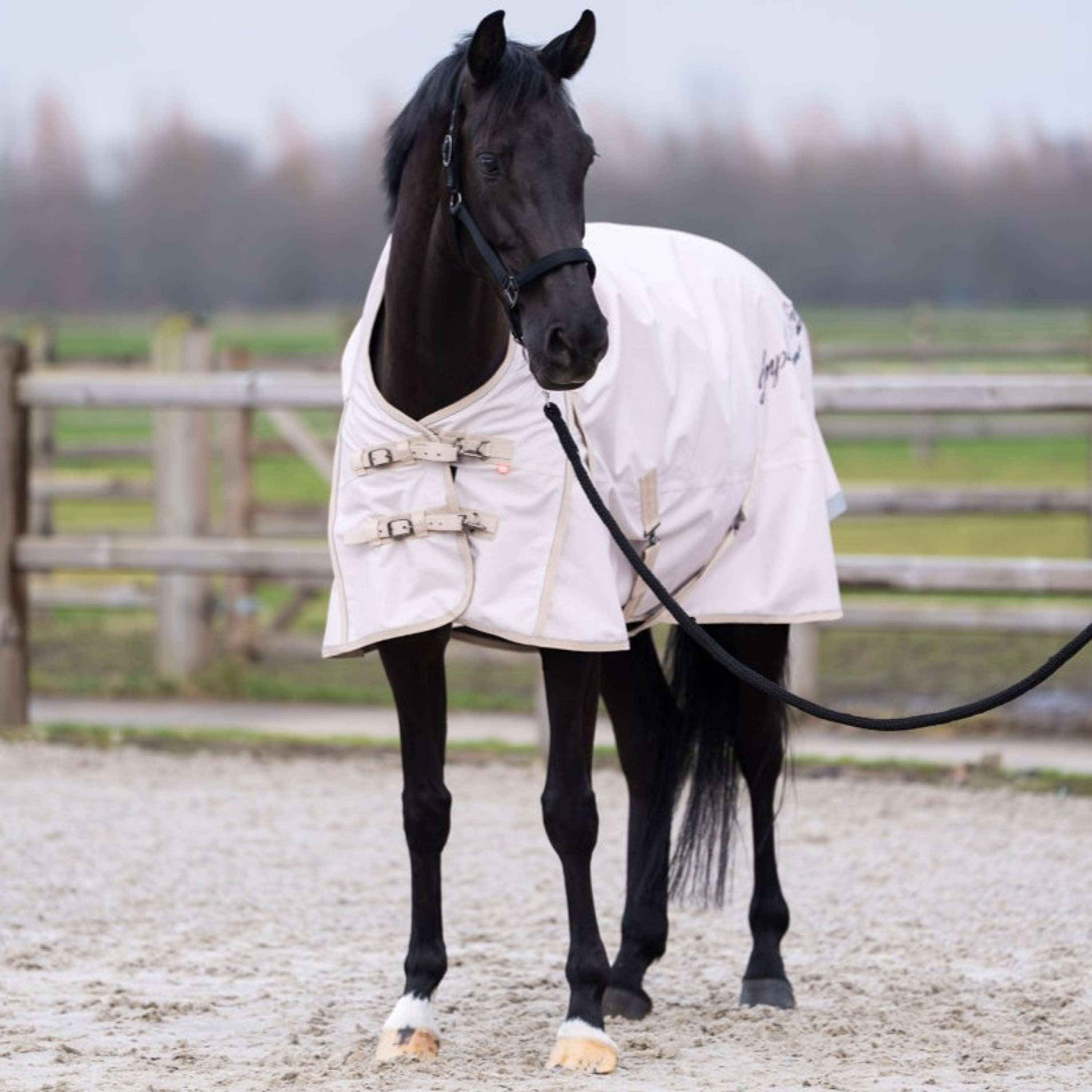 Imperial Riding Couverture d'Extérieur IRHSuper-dry AOP 0g Taupe