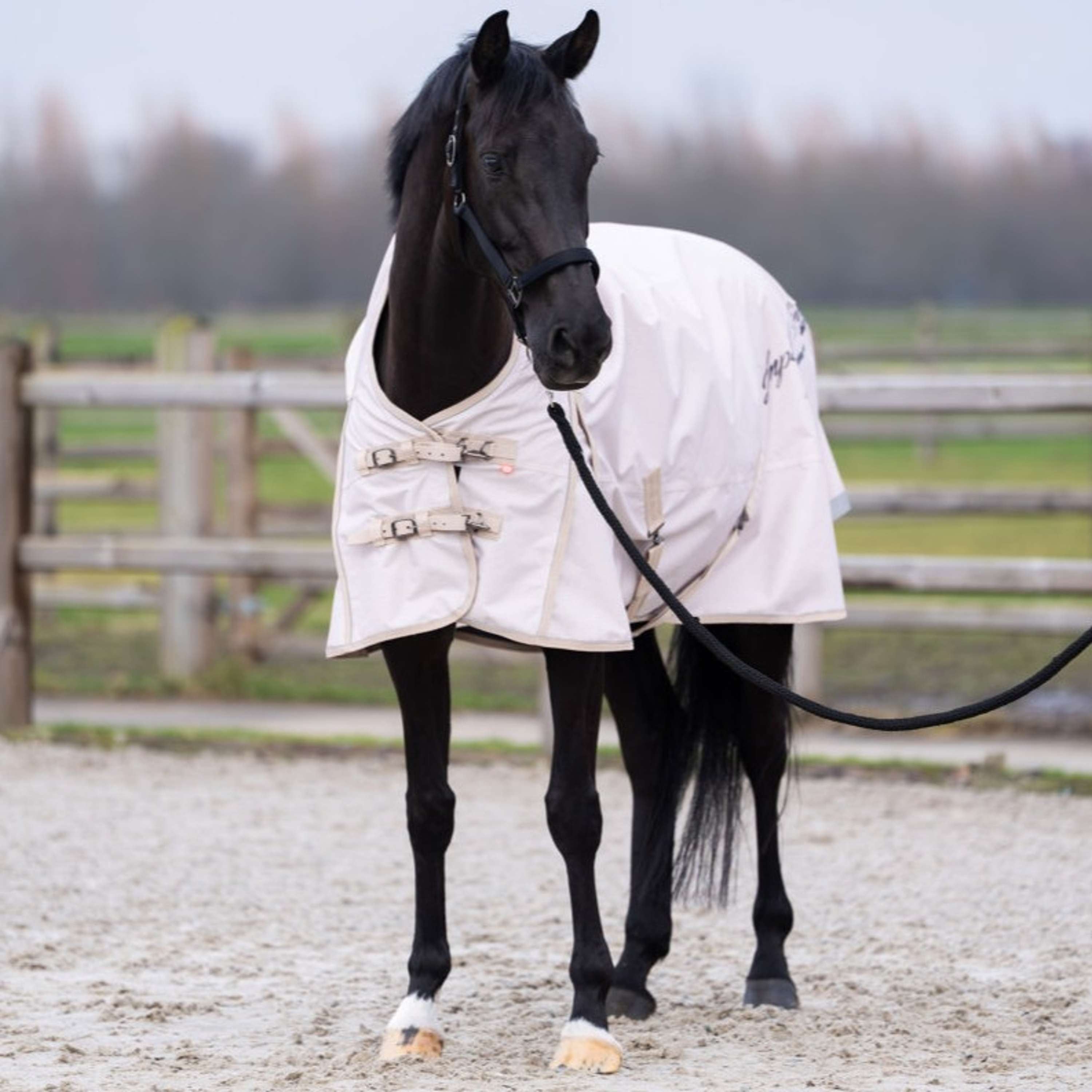 Imperial Riding Couverture d'Extérieur IRHSuper-dry AOP 300g Taupe