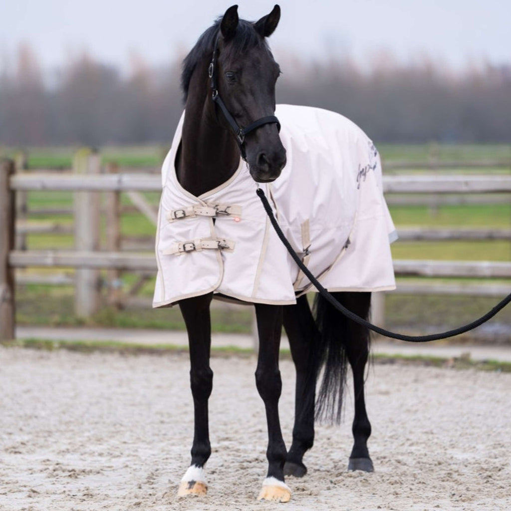 Imperial Riding Couverture d'Extérieur IRHSuper-dry AOP 300g Taupe