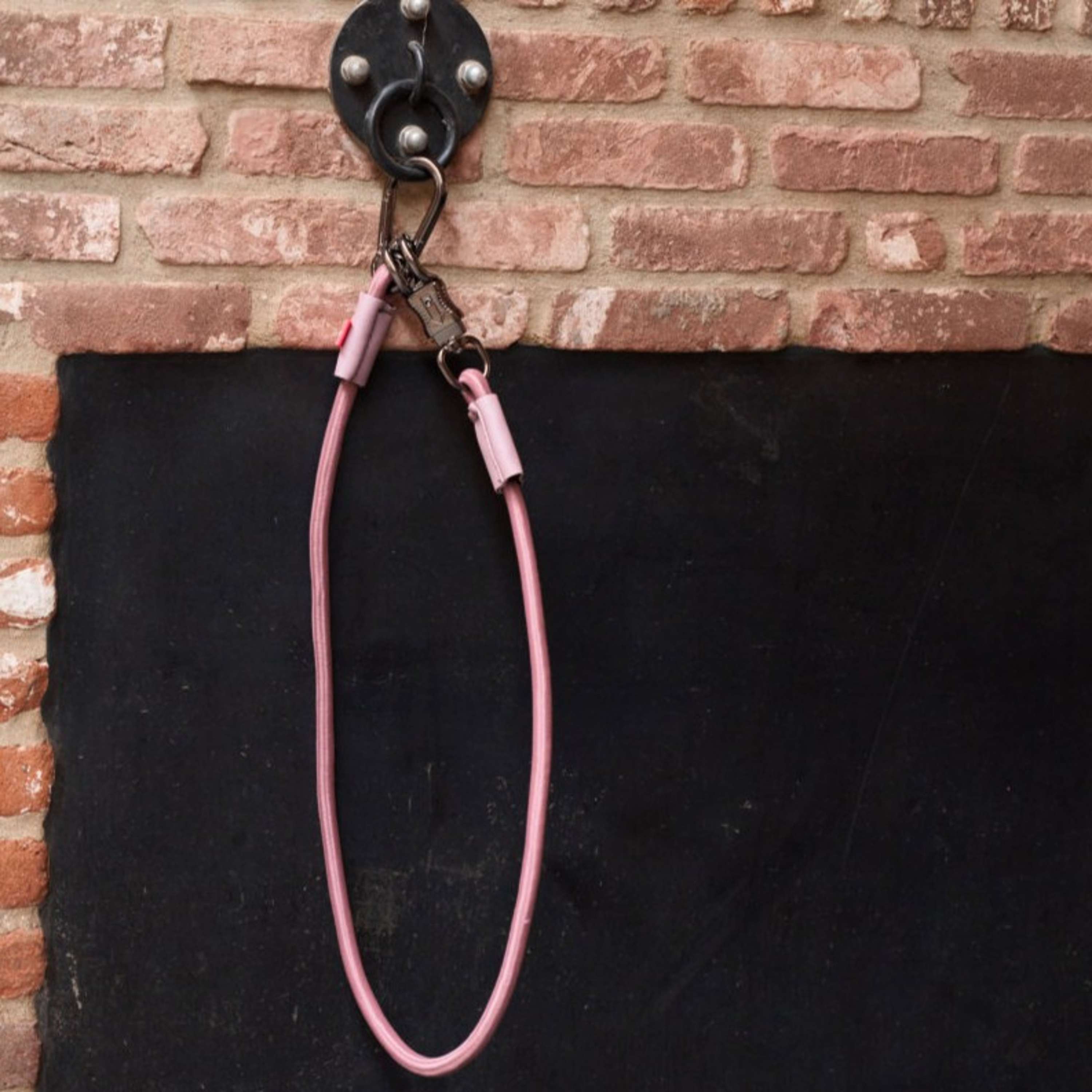Imperial Riding Longe d'Attache pour Van Elastisch Mauve