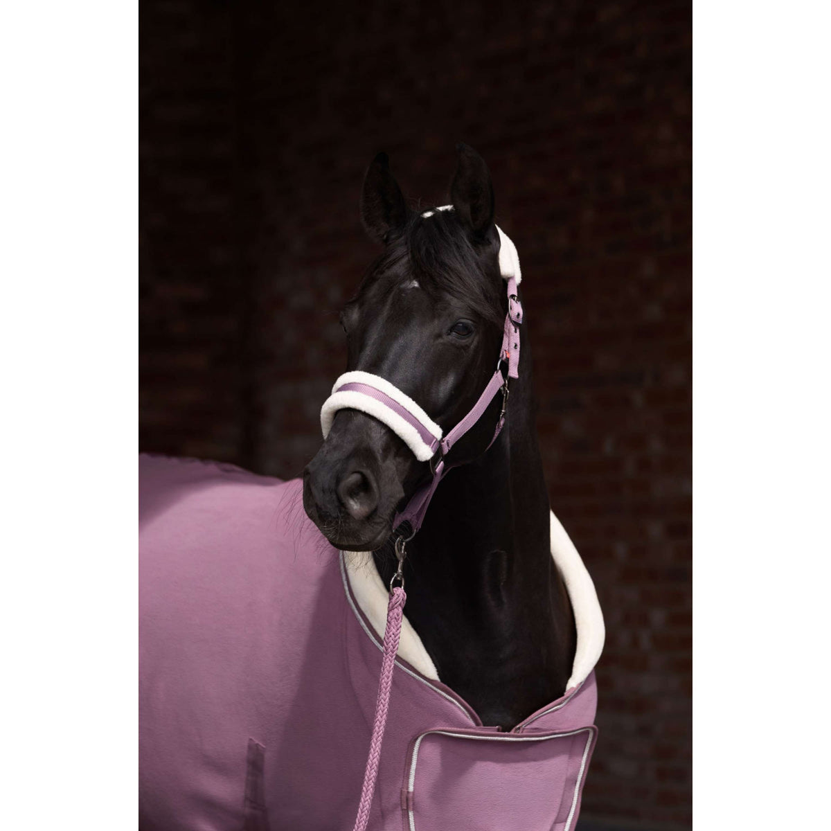 Imperial Riding Licol IRHJewel Mauve