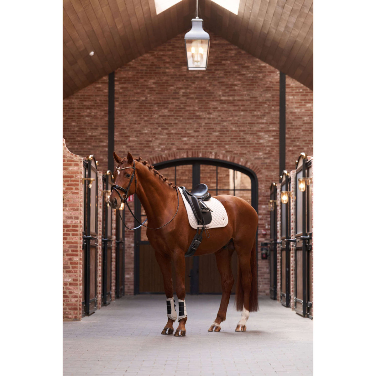 Imperial Riding Tapis de Selle IRHPenny herringbone Dressage Taupe