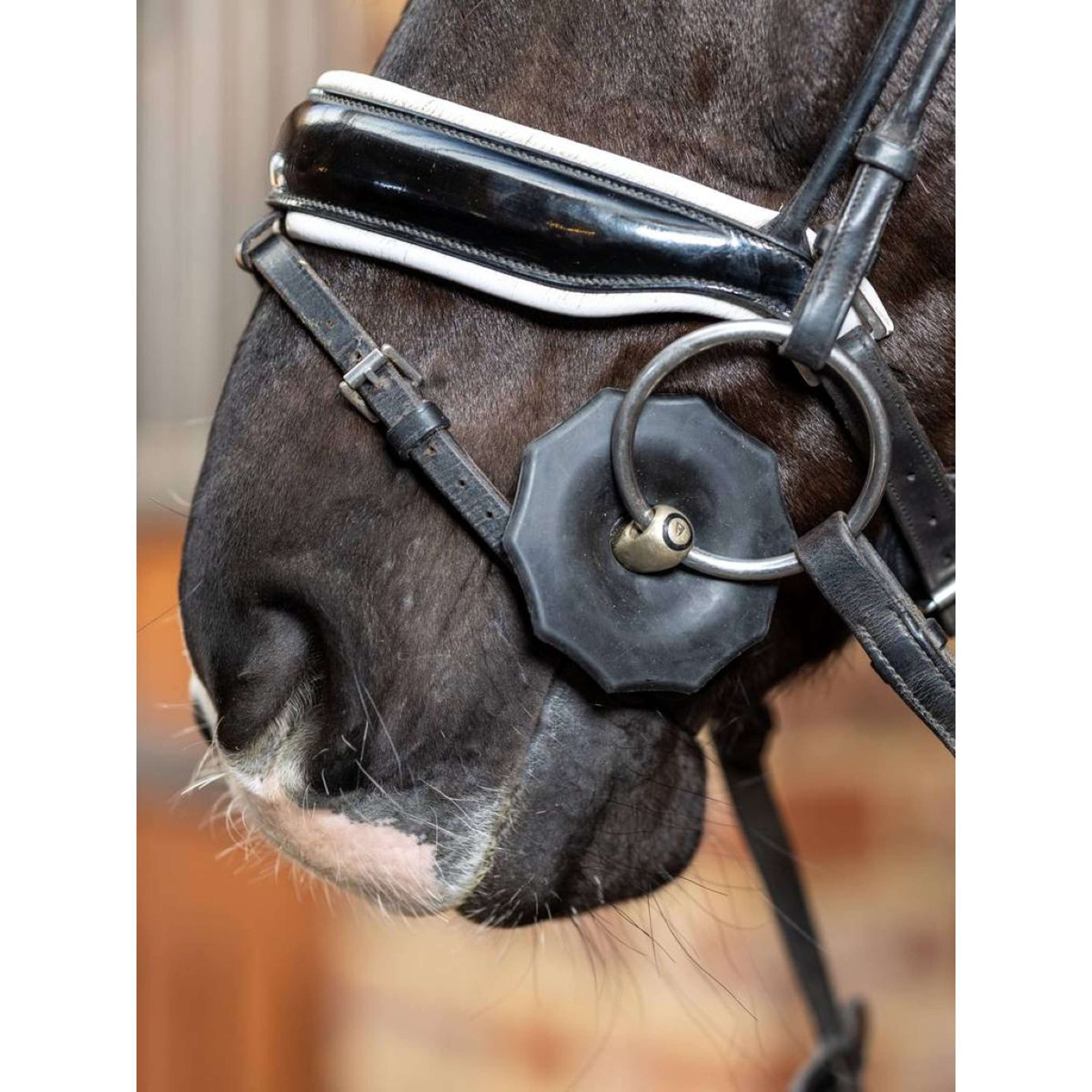 LeMieux Rondelles de Mors Rubber Noir LeMieux Rondelles de Mors Rubber Noir