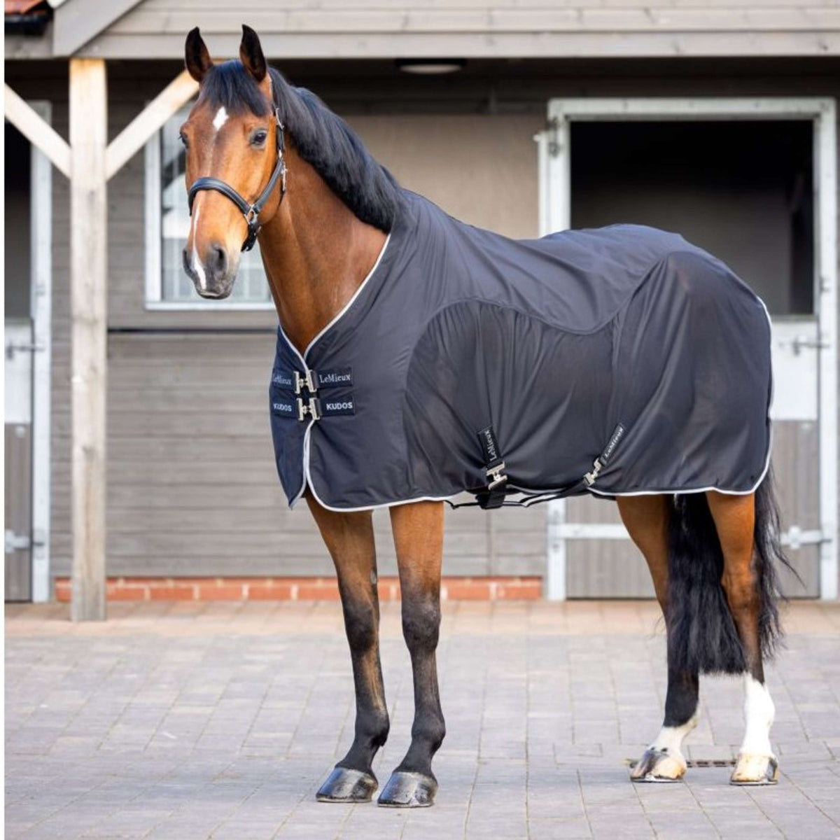 LeMieux Chemise Rafraîchissante Kudos Hybrid Noir