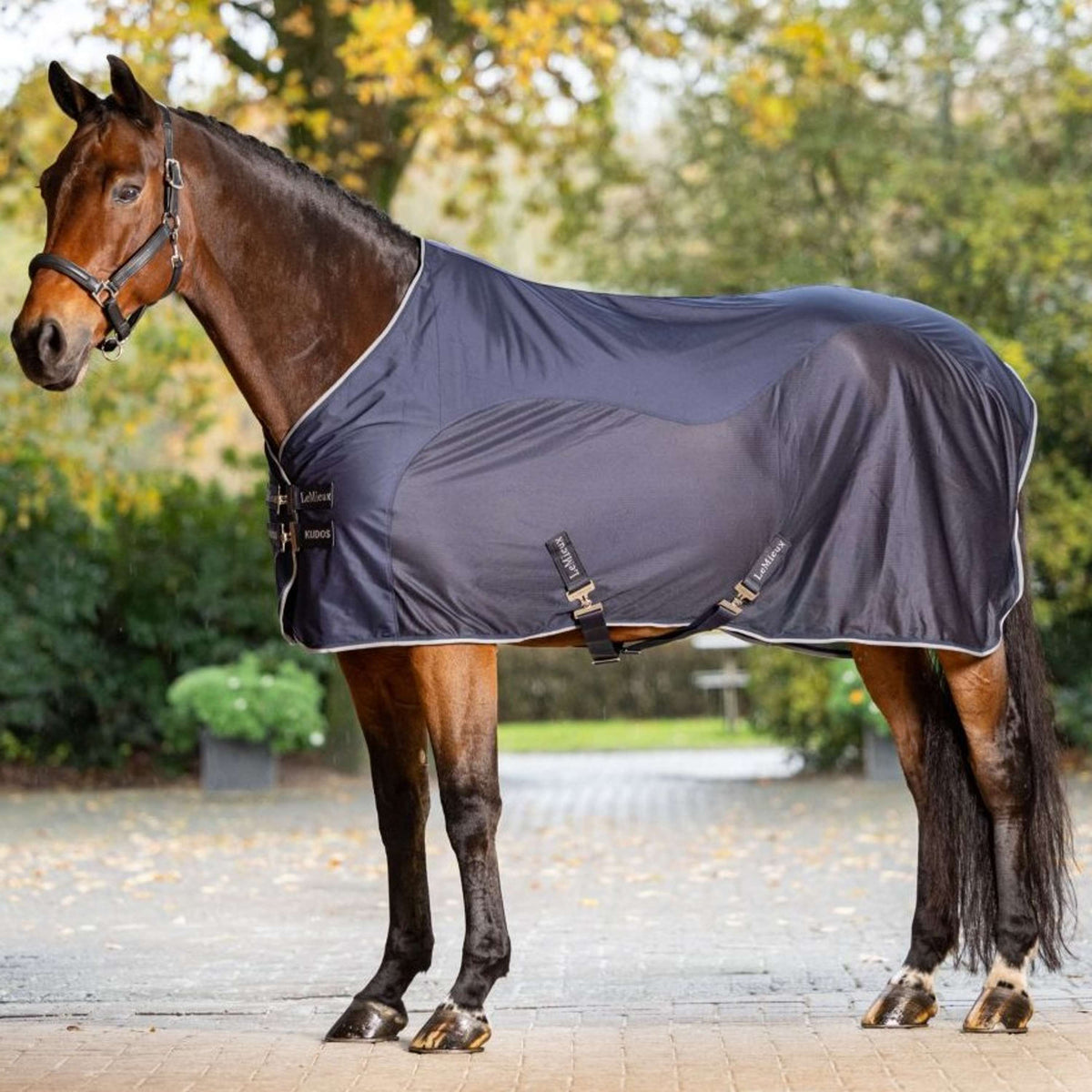 LeMieux Chemise Rafraîchissante Kudos Hybrid Marin