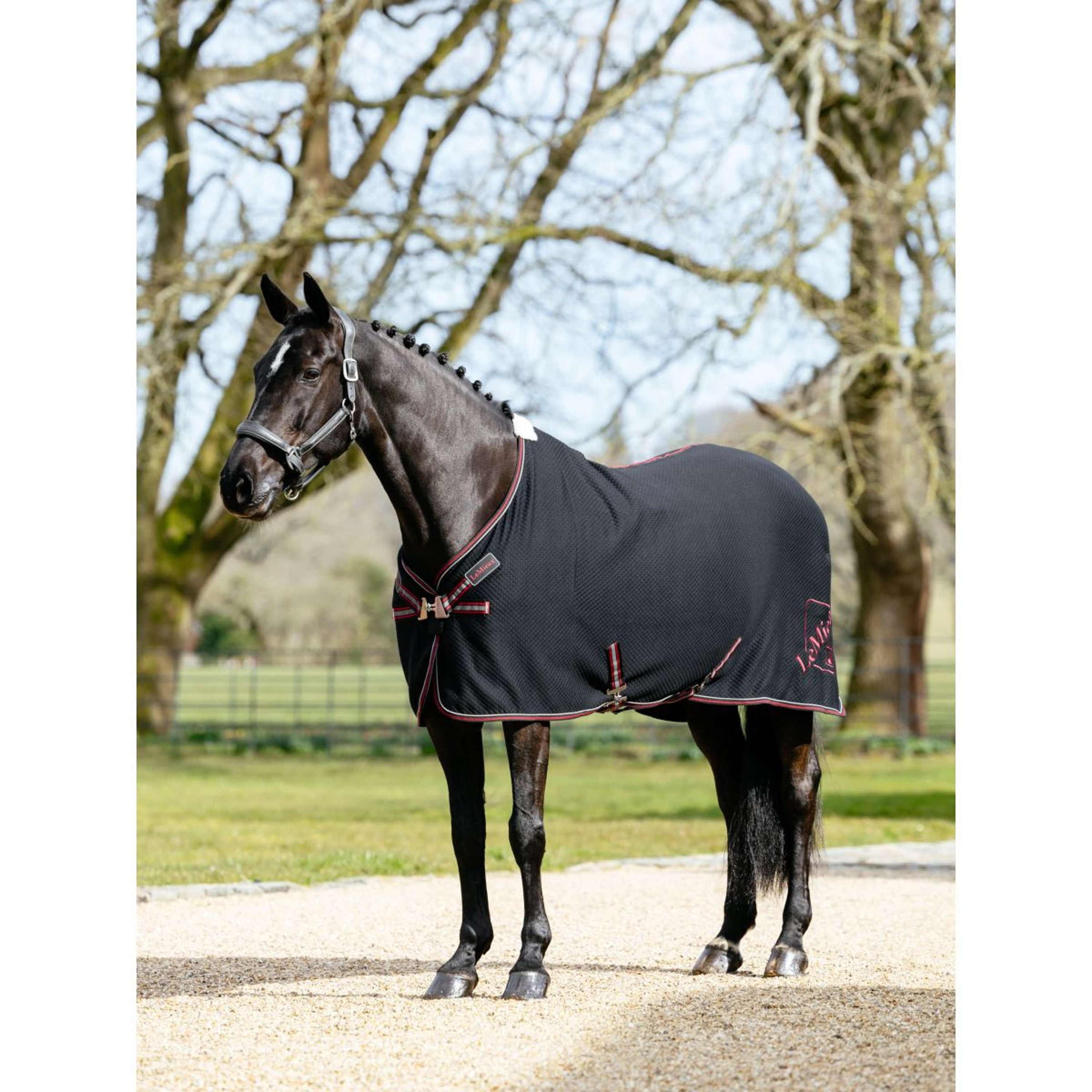 LeMieux Chemise Rafraîchissante Kudos Bamboo Noir