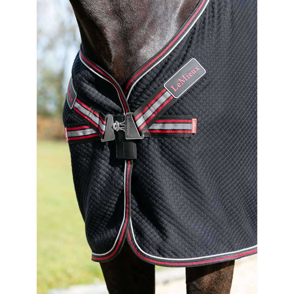 LeMieux Chemise Rafraîchissante Kudos Bamboo Noir