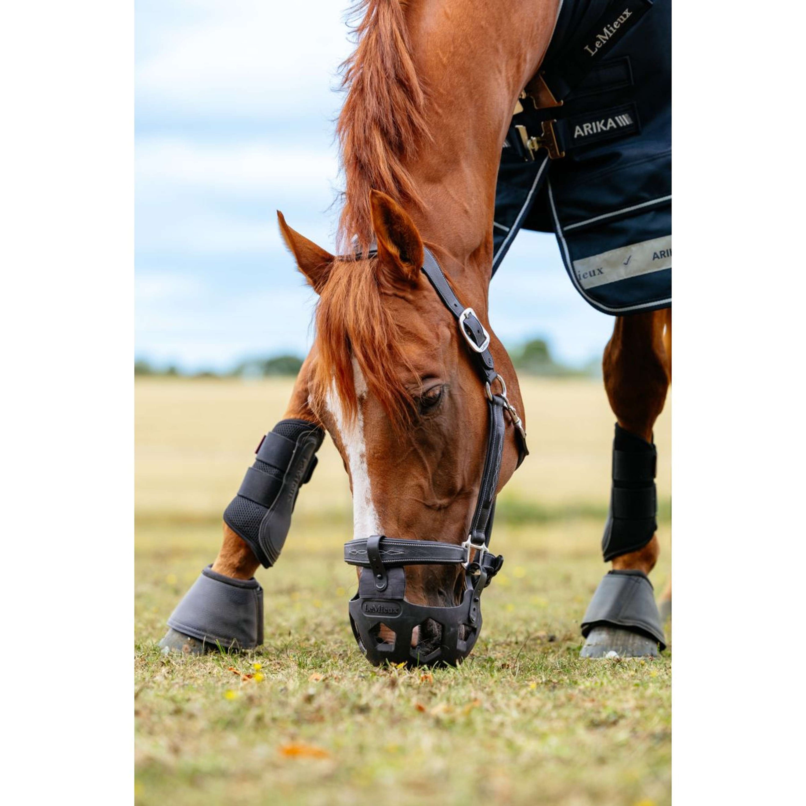 LeMieux Muselière Anti-Coliques Noma Noir