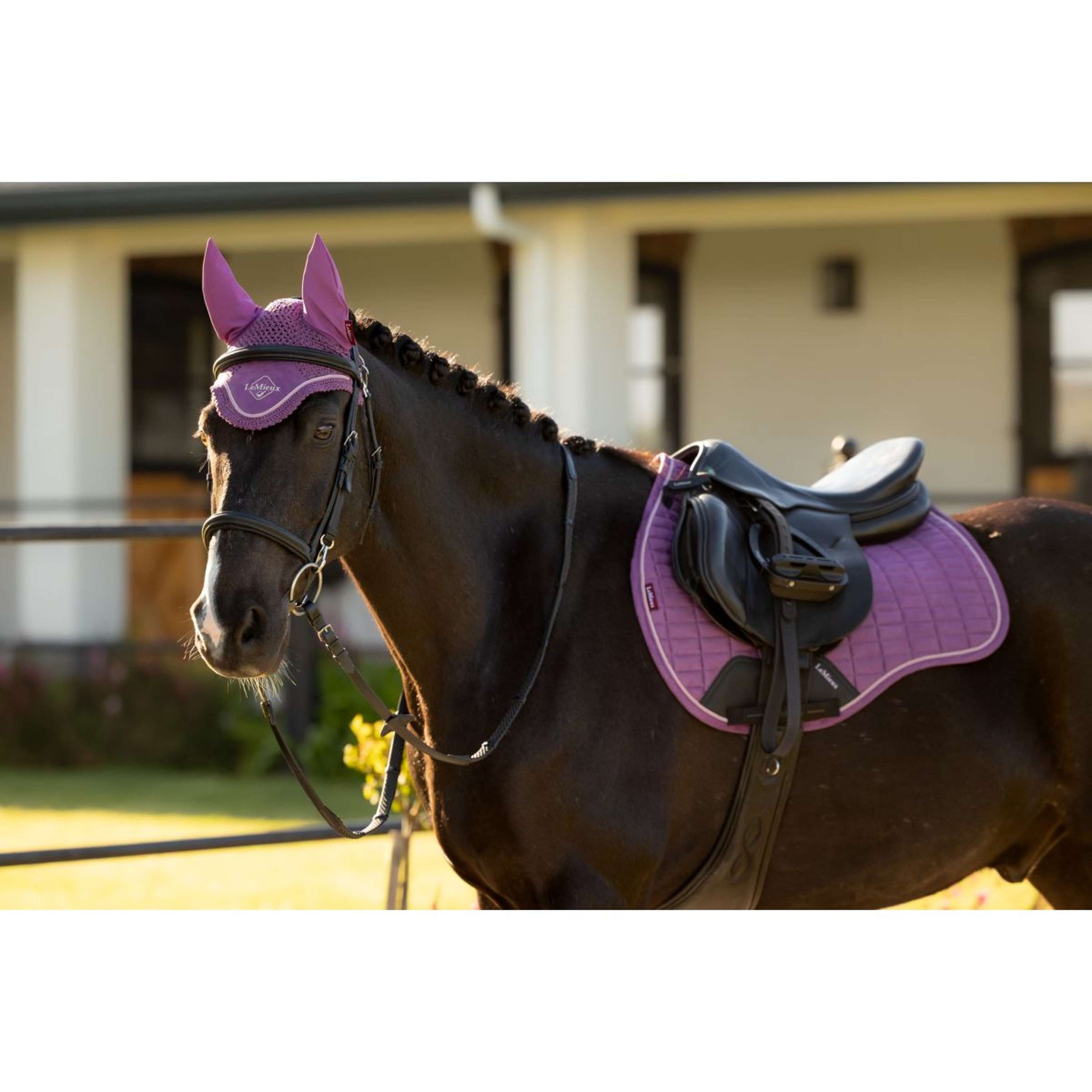 LeMieux Bonnet Anti-Mouches Classic Mallow LeMieux Bonnet Anti-Mouches Classic Mallow