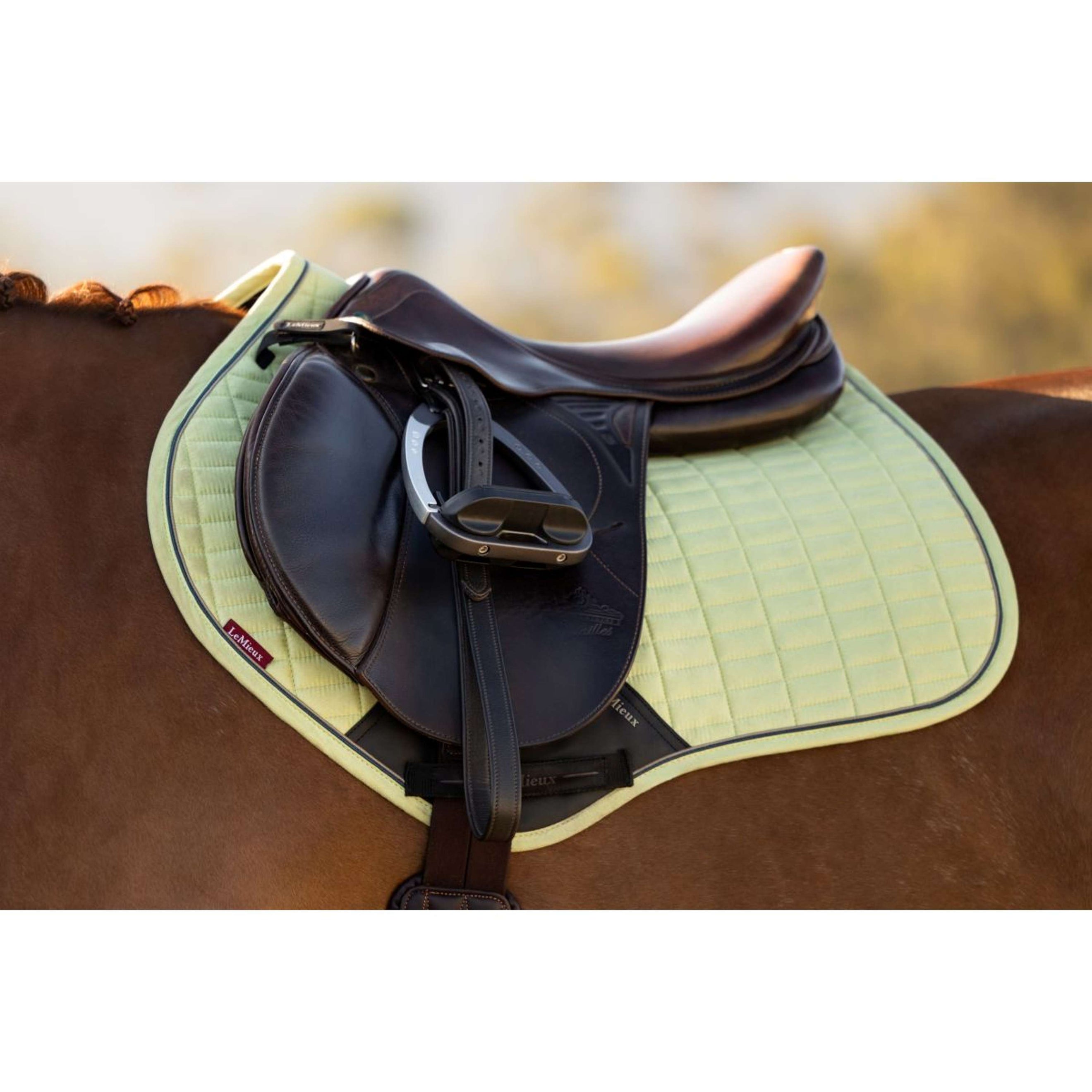 LeMieux Tapis de Selle Suede Close Contact Square de Saut Macaron LeMieux Tapis de Selle Suede Close Contact Square de Saut Macaron