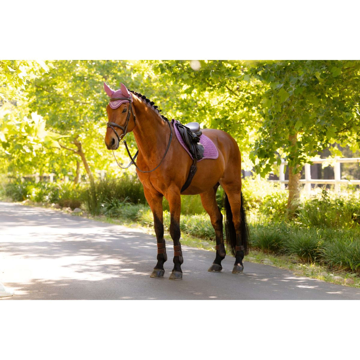 LeMieux Tapis de Selle Suede Close Contact Square de Saut Mallow