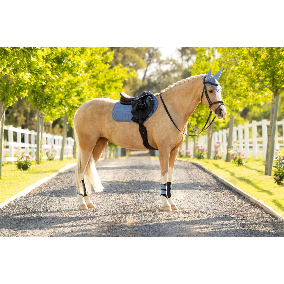 LeMieux Tapis de Selle Suede Close Contact Square de Saut Powder Blue