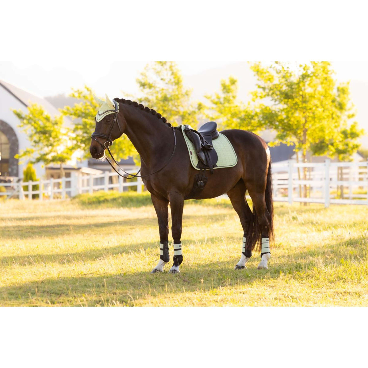 LeMieux Tapis de Selle Suede Square Dressage Macaron