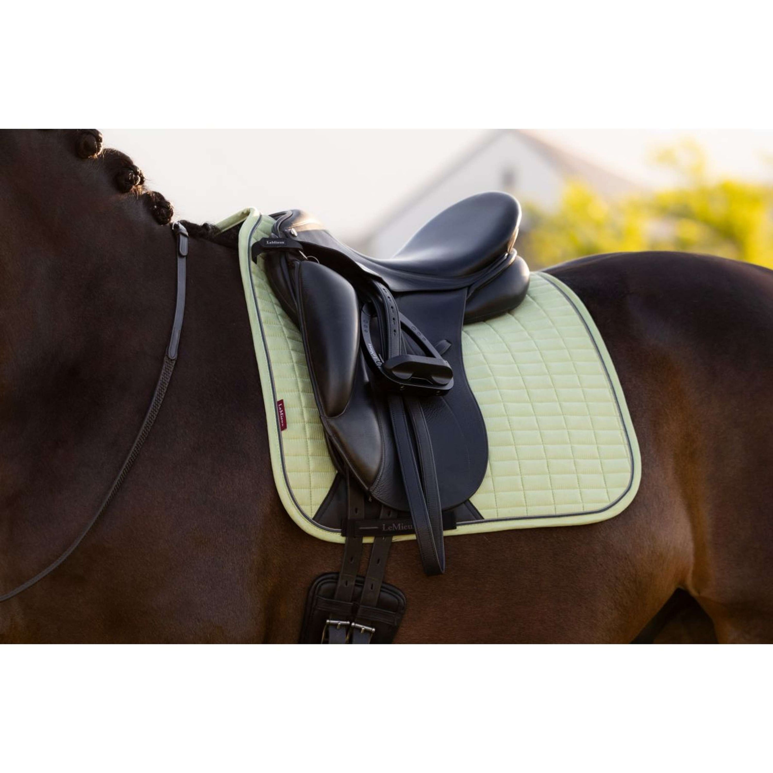 LeMieux Tapis de Selle Suede Square Dressage Macaron LeMieux Tapis de Selle Suede Square Dressage Macaron