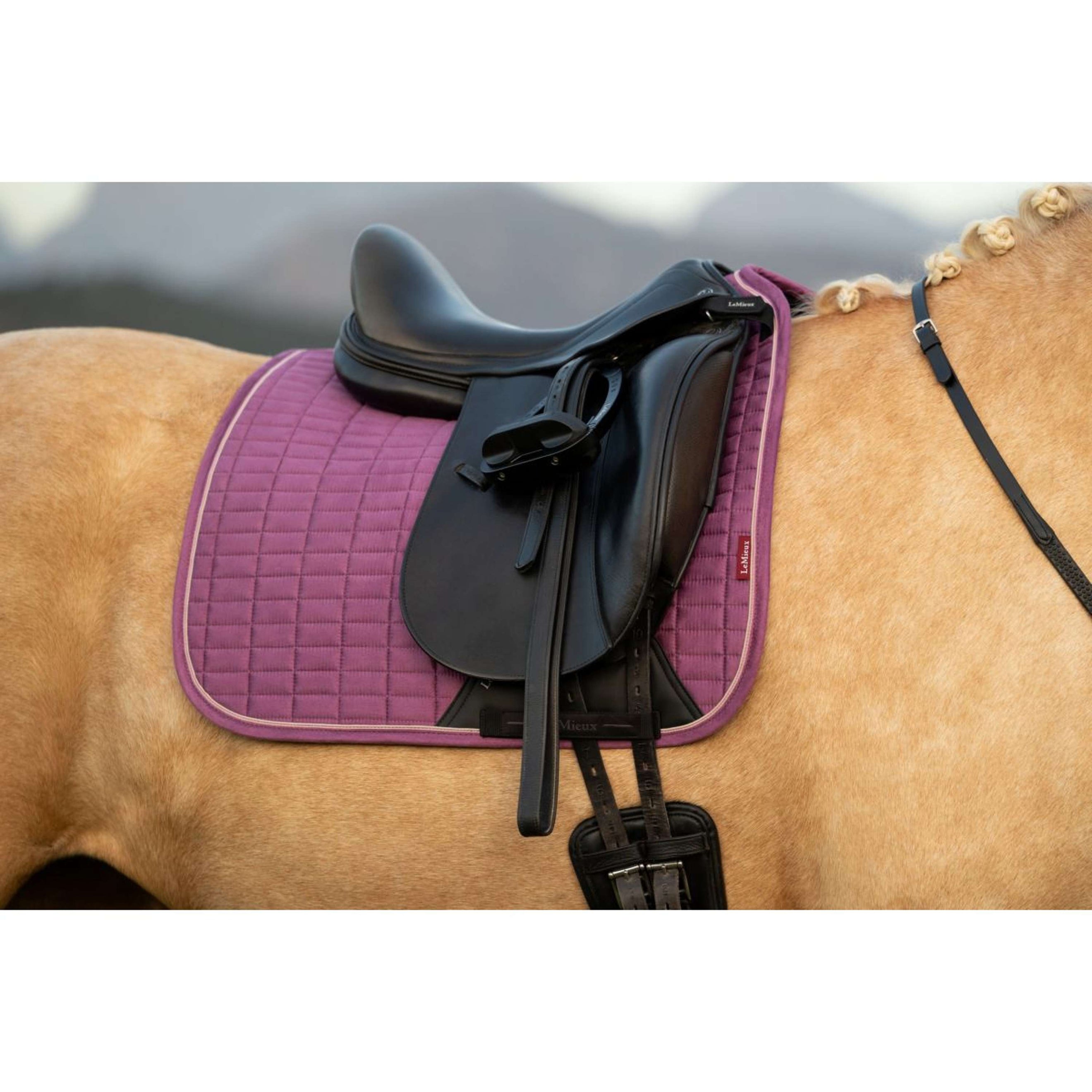 LeMieux Tapis de Selle Suede Square Dressage Mallow
