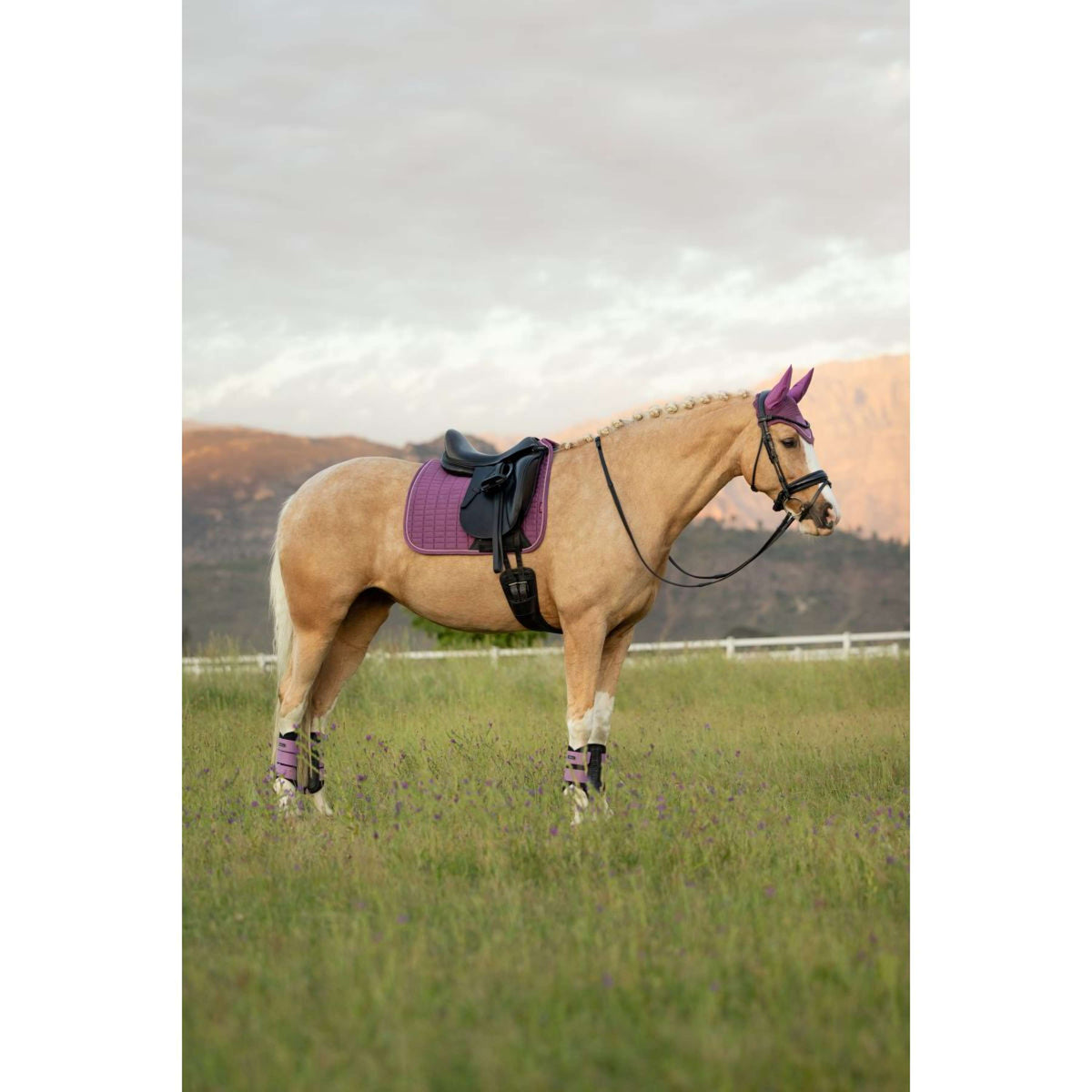 LeMieux Tapis de Selle Suede Square Dressage Mallow