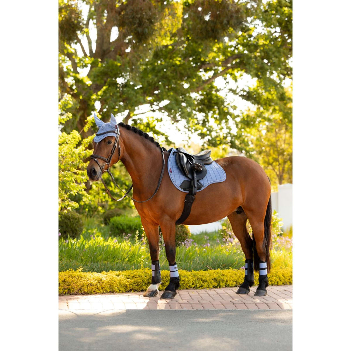 LeMieux Tapis de Selle Suede Square Polyvalent Powder Blue