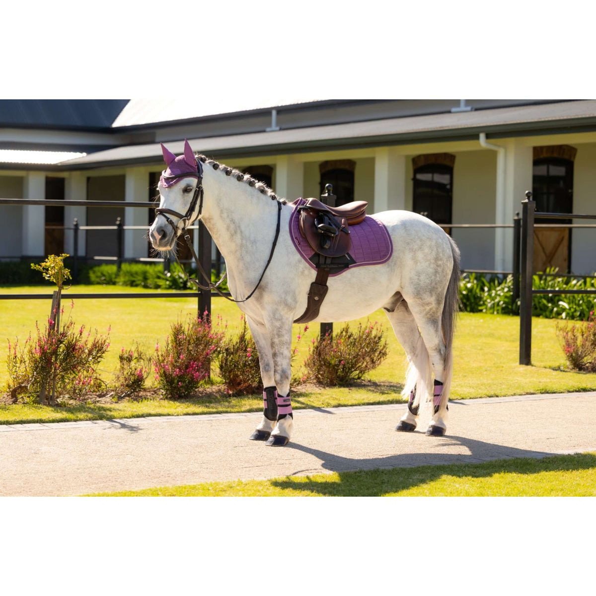 LeMieux Tapis de Selle Mini Suede Close Contact Square de Saut Mallow