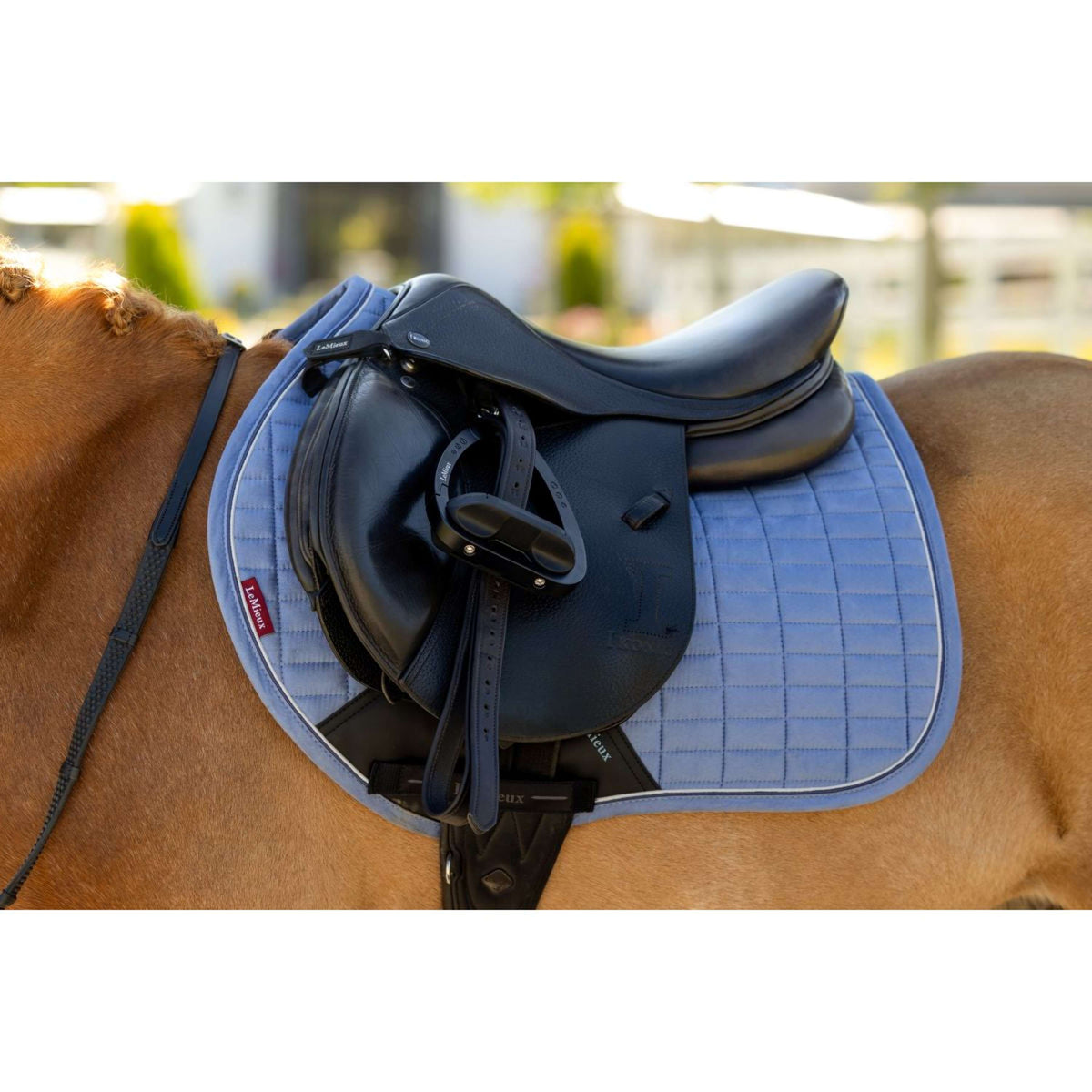 LeMieux Tapis de Selle Mini Suede Close Contact Square de Saut Powder Blue