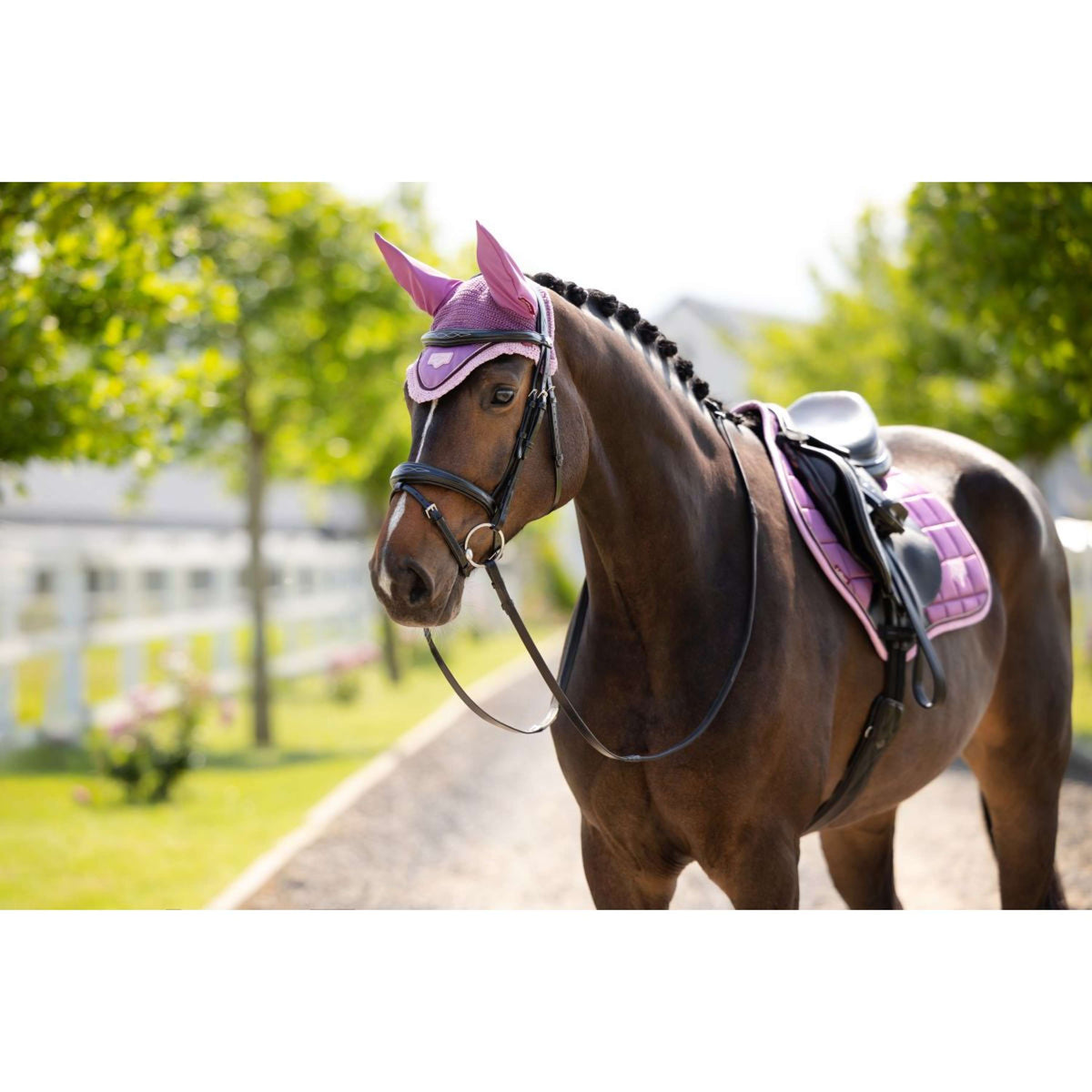 LeMieux Bonnet Anti-Mouches Loire Mallow