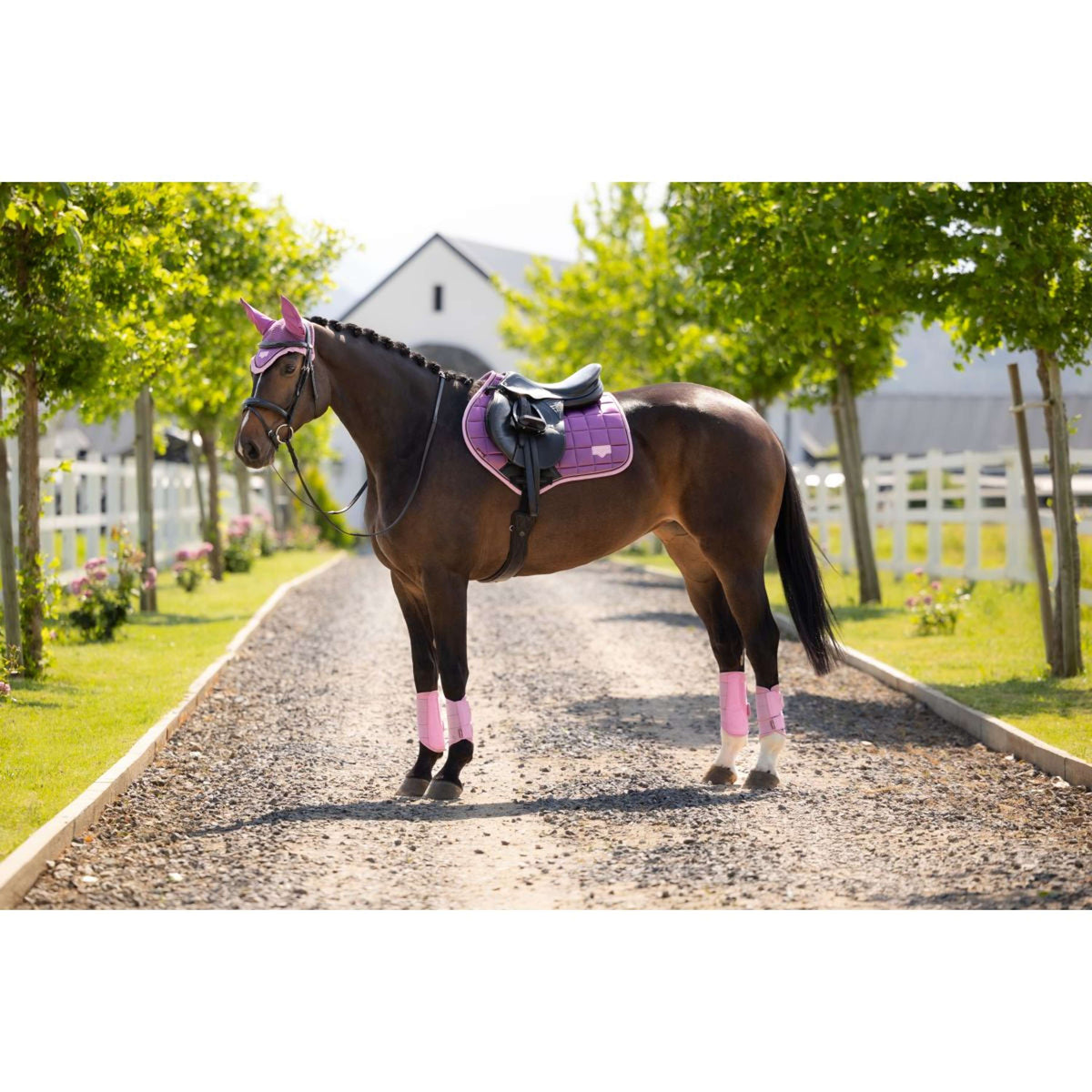 LeMieux Tapis de Selle Loire Classic Close Contact Square de Saut Mallow