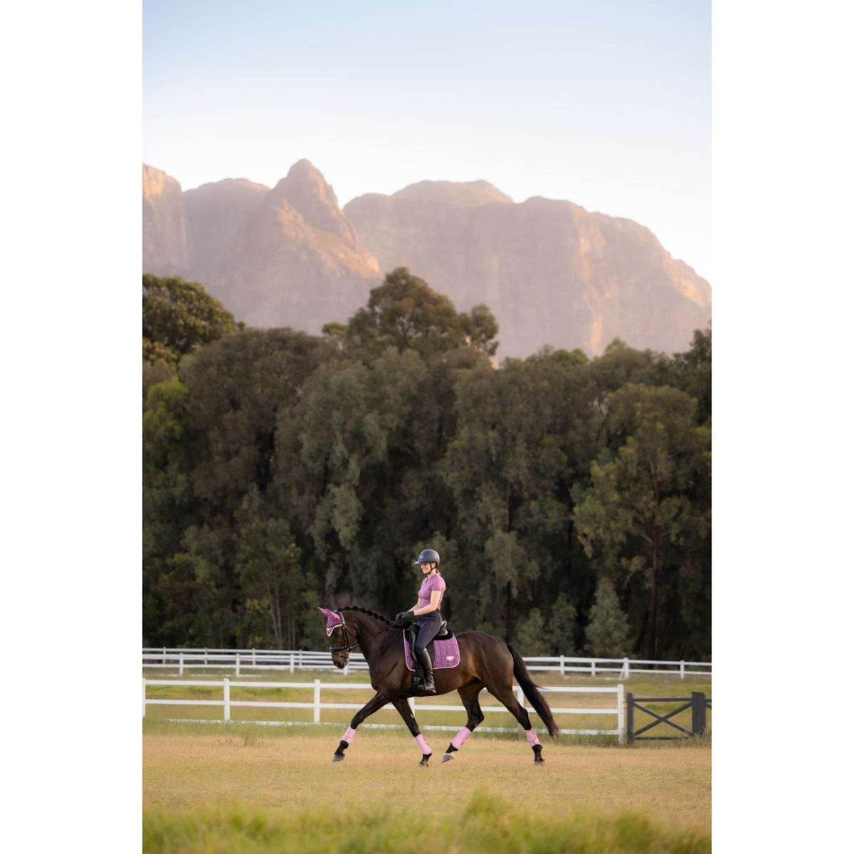 LeMieux Tapis de Selle Loire Classic Square Dressage Mallow