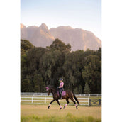 LeMieux Tapis de Selle Loire Classic Square Dressage Mallow