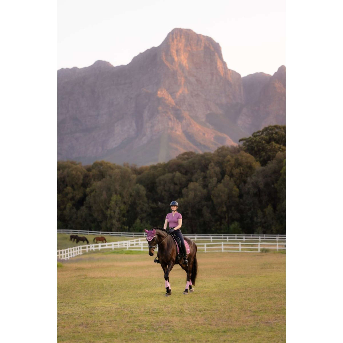 LeMieux Tapis de Selle Loire Classic Square Dressage Mallow