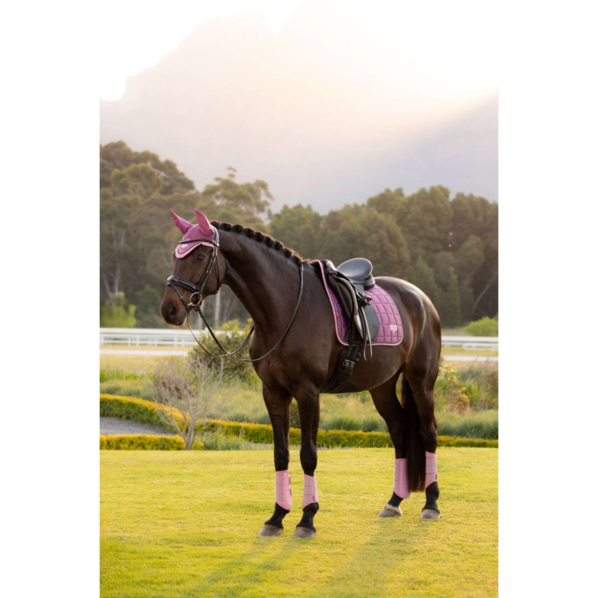 LeMieux Tapis de Selle Loire Classic Square Dressage Mallow