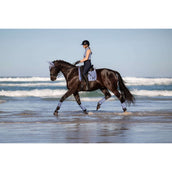 LeMieux Tapis de Selle Loire Classic Square Dressage Powder Blue