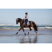 LeMieux Tapis de Selle Loire Classic Square Dressage Powder Blue