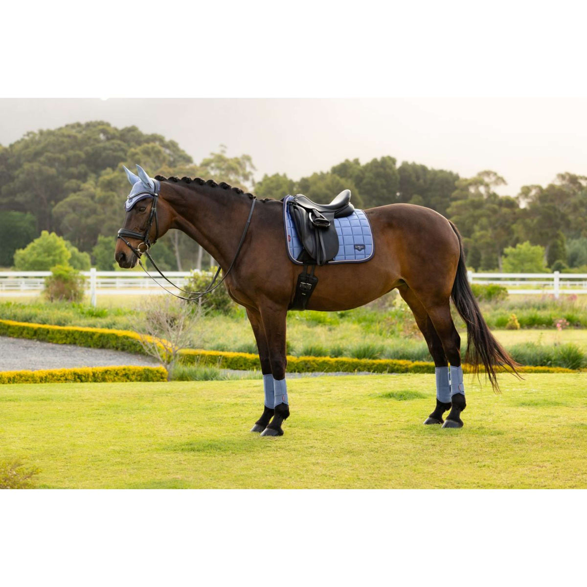 LeMieux Tapis de Selle Loire Classic Square Dressage Powder Blue