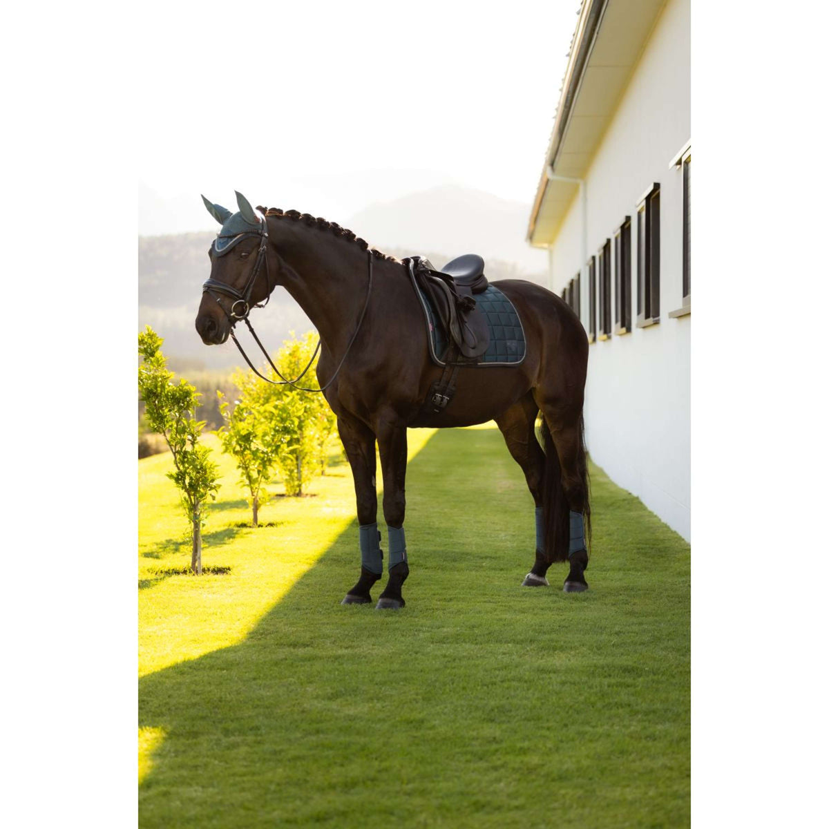 LeMieux Tapis de Selle Loire Classic Square Dressage Jungle