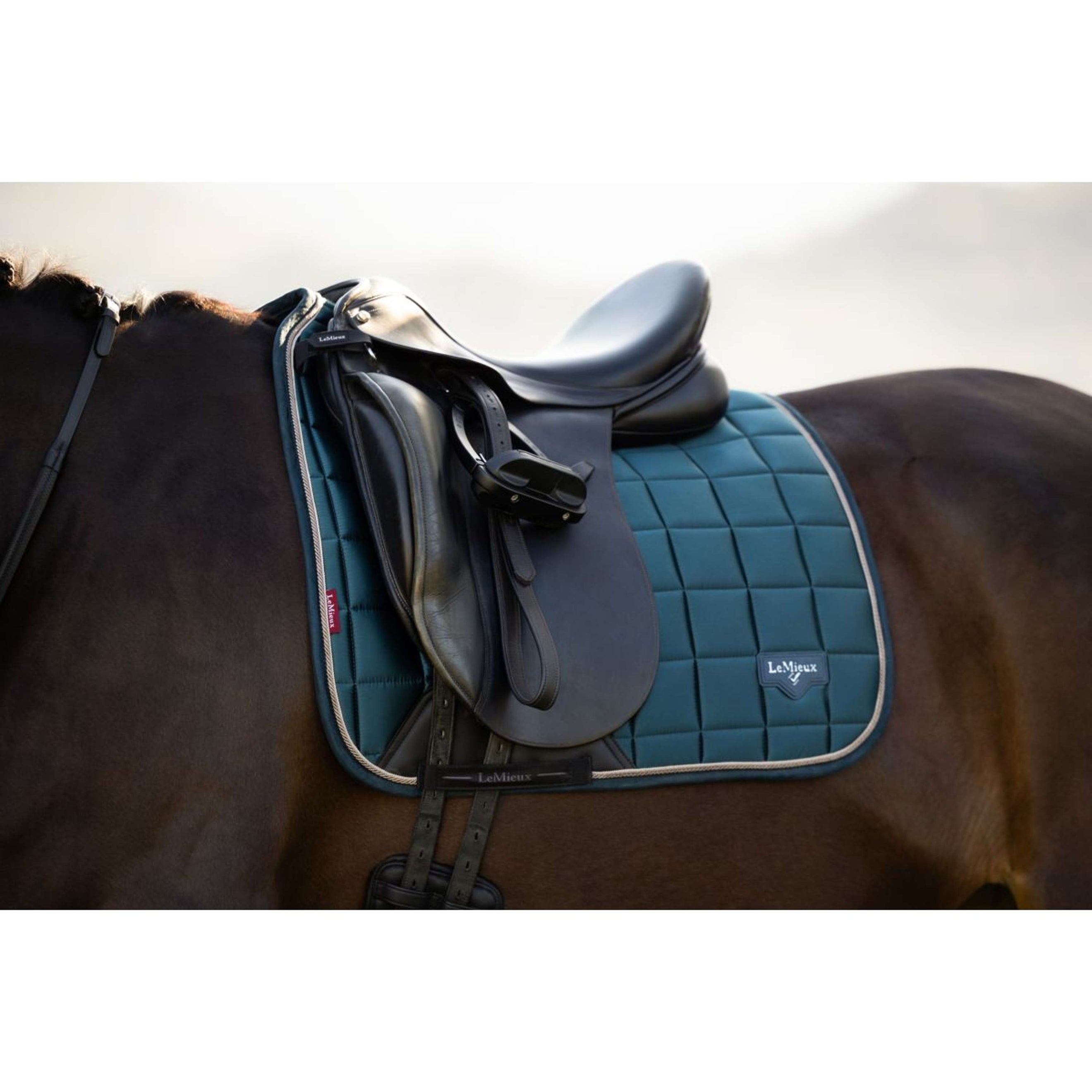 LeMieux Tapis de Selle Loire Classic Square Dressage Jungle LeMieux Tapis de Selle Loire Classic Square Dressage Jungle